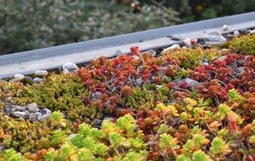 the cost of South Baddesley green roof installation